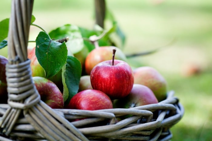 apple frangipane galette - Article 1